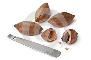 Shelled pili nut, whole pili nuts and opener close up on white background photo