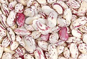 Shelled Romano Beans