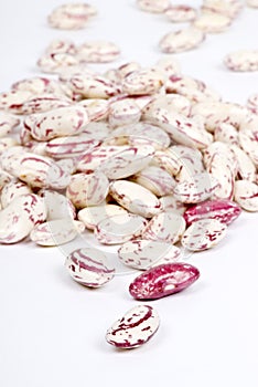 Shelled Romano Beans photo