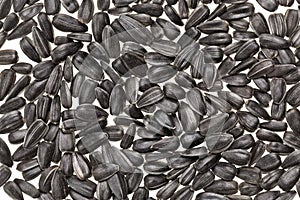 Shelled sunflower seeds