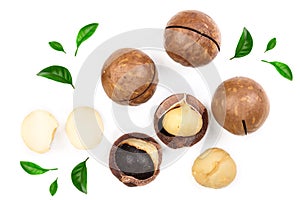 Shelled and unshelled macadamia nuts with leaves isolated on white background. Top view. Flat lay pattern