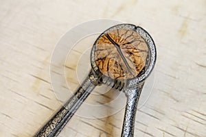 Shelled walnuts and nutcracker in plate