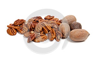 Shelled and whole pecans on white