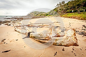 Shelley Beach Port Macquarie New South Wales Australia