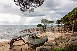 Shelley Cove near Bunker Bay, Eagle Bay and Dunsborough city in Western Australia with nice sandy beach photo