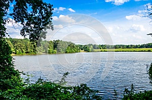 Shelley Lake view