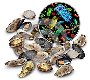 Shellfish Bacteria Risk