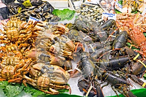 Shellfish at the Boqueria market