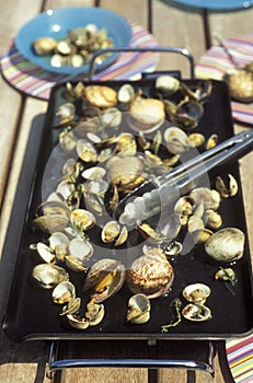 Shellfish cooked a la plancha