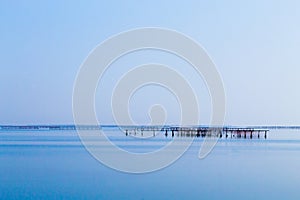 Shellfish farming from Po river lagoon, Italy