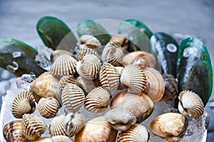 Shellfish on ice background Fresh raw blood cockle green mussels and enamel venus shell