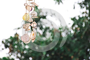 Shellfish mobile hanging aganist blurred nature background