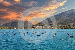 Shellfish, mussel and oyster farming production near Mali Ston bay, Croatia