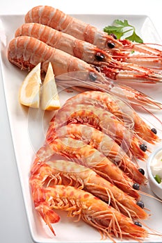 Shellfish prawns and crayfish