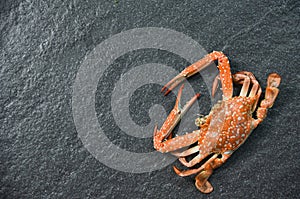 Shellfish seafood crab boiled ocean gourmet dinner cooked dark background / Blue Swimming Crab