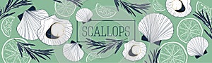 Shellfish and seafood restaurant or fishery product market banners template. Scallops banner  template. Hand drawn