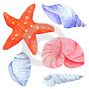 Shellfish and Starfish watercolor collection on white background , Hand drawn for Kids, Greeting Card , Cases design,