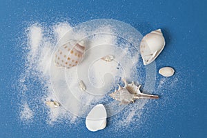 Shellfishes and sand photo