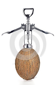 Shelling coconut with wine opener on white