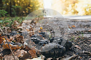 Grenades on the ground