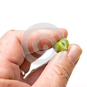 Shelling Peas