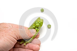 Shelling Peas