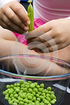 Shelling peas