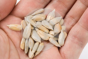 Shellless Sunflower Seed