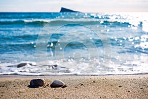 Shells on the beach