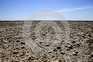 Shells at the bottom