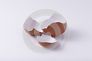 shells of broken egg texture