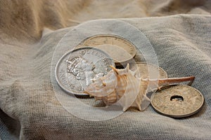 Shells and coins on fabric.