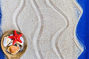 Shells colored spoon beach sand