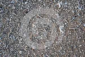 Shells and coral fragments on the beach can be used as an abstract background