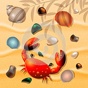 Shells, crab and sea colored pebbles on sand background.