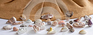 Shells of different shapes on the background of a straw-colored women`s beach hat. The concept of summer holidays and travel, roa