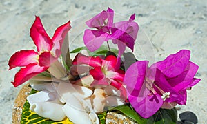 Shells and flowers on a stown