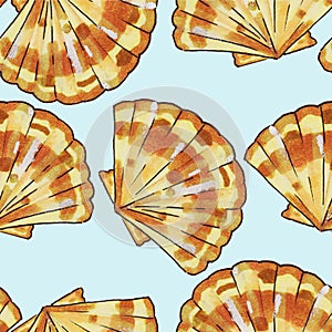 shells, mollusks live in the sea or ocean of different shapes, a spiral