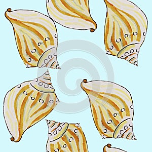 shells, mollusks live in the sea or ocean of different shapes, a spiral