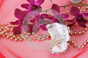 Shells and orchid