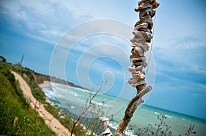 Shells Panorama Shabla Karya Beach Bulgaria Sea photo