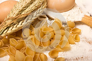 Shells pasta