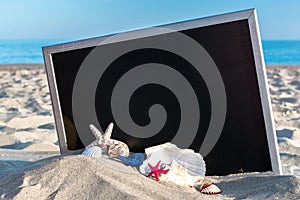 Shells pattern. Globe, seashell, airplane and starfish near black desk on sea beach in sunny day. Copy space of summer vacation