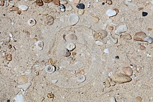 Shells and pebbles on a beach, Boracay Island, Philippines