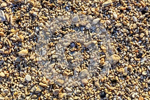 Shells and pebbles on a beach, Boracay Island, Philippines