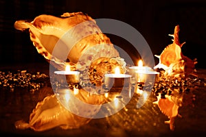 Shells with pebbles on a black background