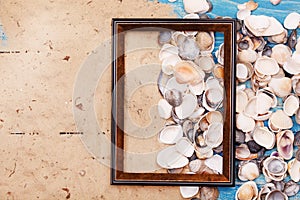 Shells and photo frame. Vocation background