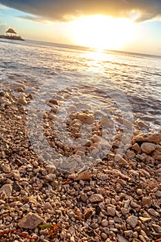 Shells and rocks on the beach along the Caribbean Sea.