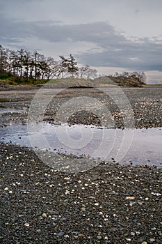 Shells and rocks lie exposed in a saltwater lagoon during low tide on Vancouver Island, Canada.