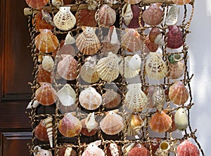 Shells